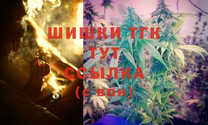 Бошки Шишки THC 21%  закладка  Зея 